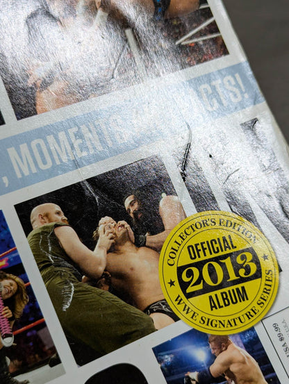 WWE THE YEAR IN PHOTOS 2013