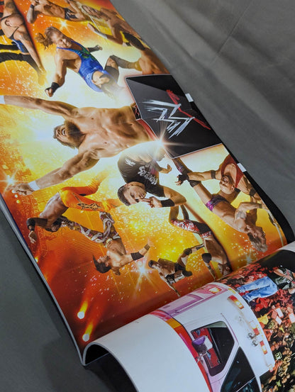 WWE THE YEAR IN PHOTOS 2013