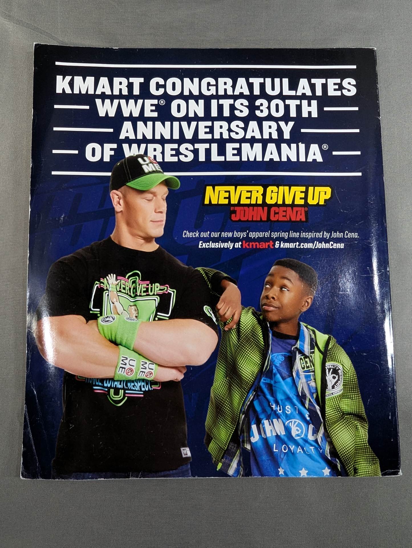 WRESTLE MANIA XXX ・ 2014 – 闘道館