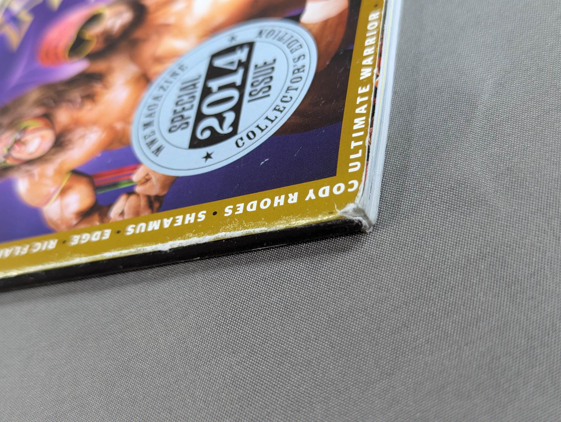 WRESTLE MANIA XXX ・ 2014 – 闘道館