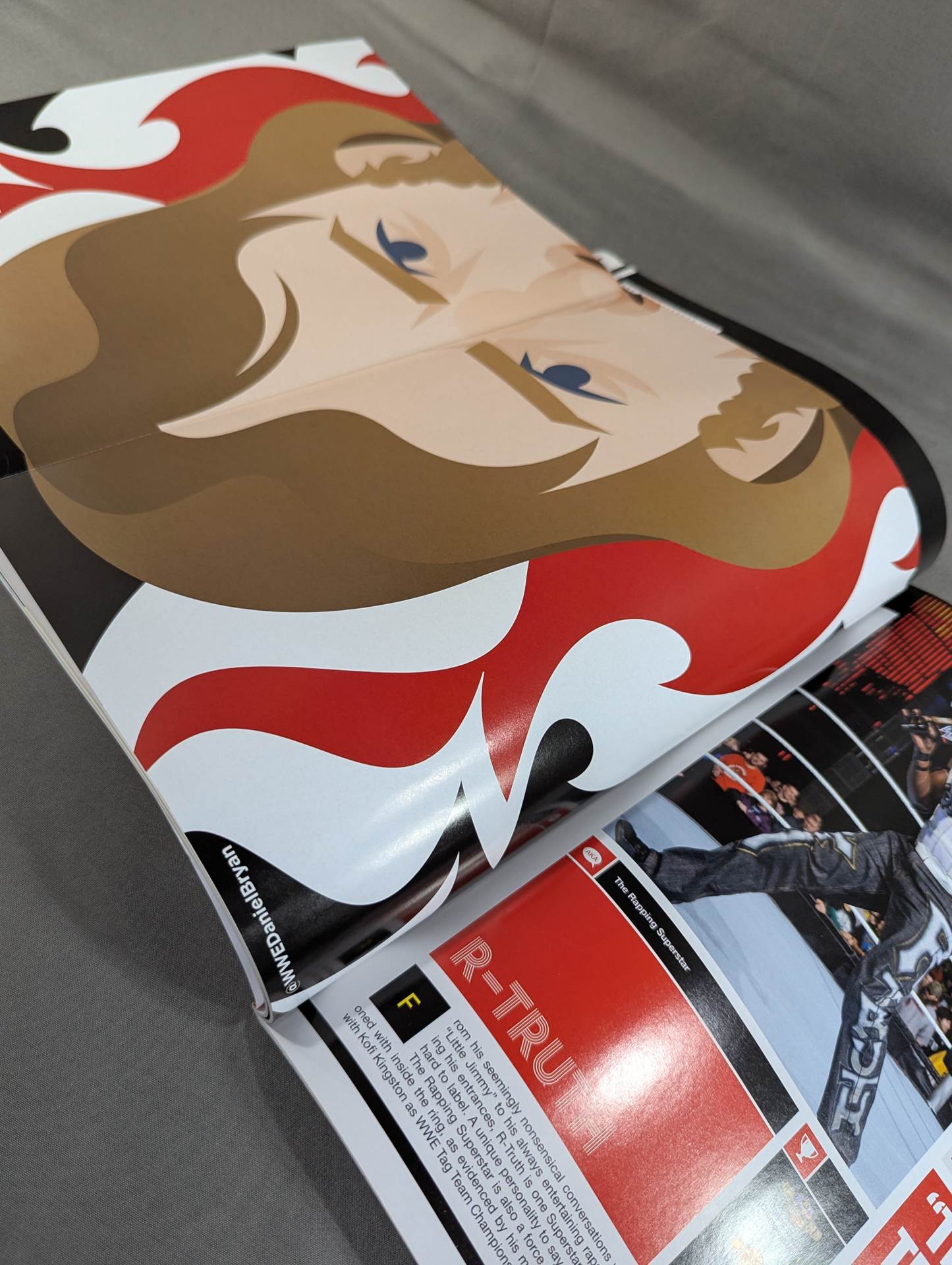 WWE THE YEAR IN PHOTOS 2014