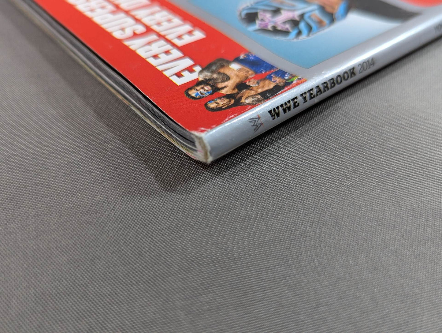 WWE THE YEAR IN PHOTOS 2014