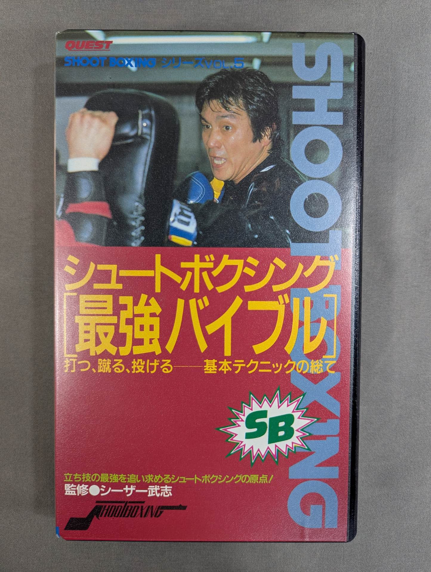 シュートボクシング[最強バイブル]  ★打つ､蹴る､投げる 基本テクニック★