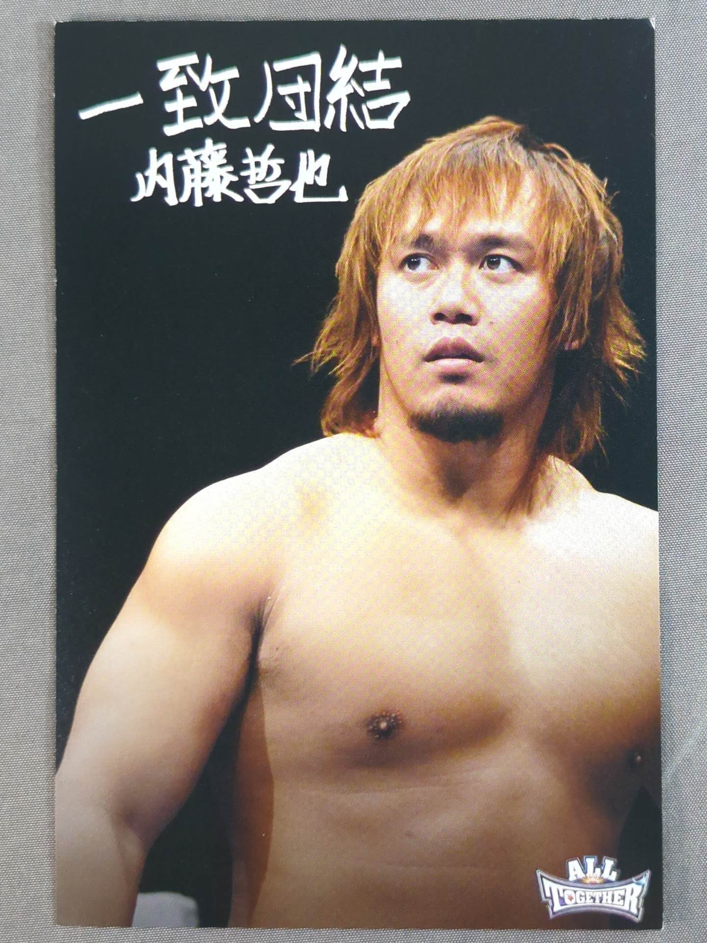 New Japan Pro Wrestling  Postcard Set