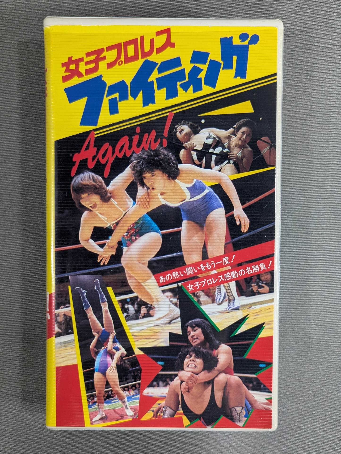 Women's Pro Wrestling Fighting ★Again! ★
