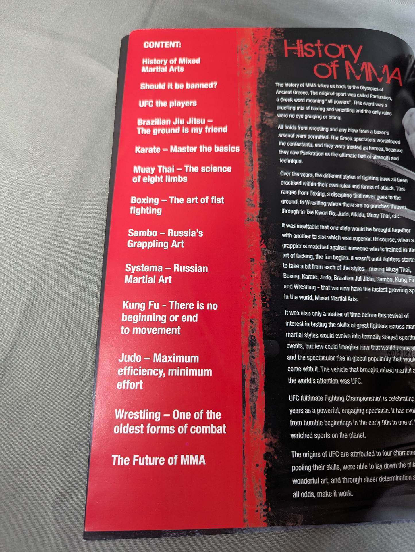 MIXED MARTIAL ARTS ： WP ACTION SERIES