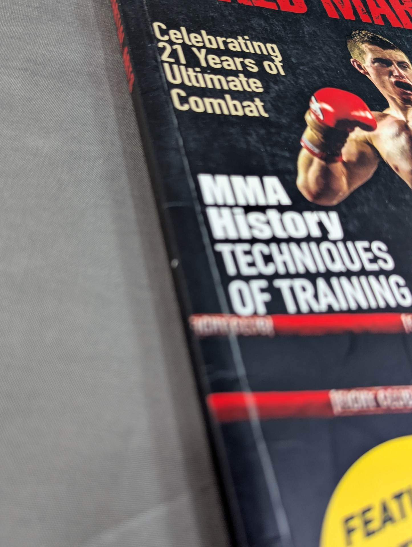 MIXED MARTIAL ARTS ： WP ACTION SERIES