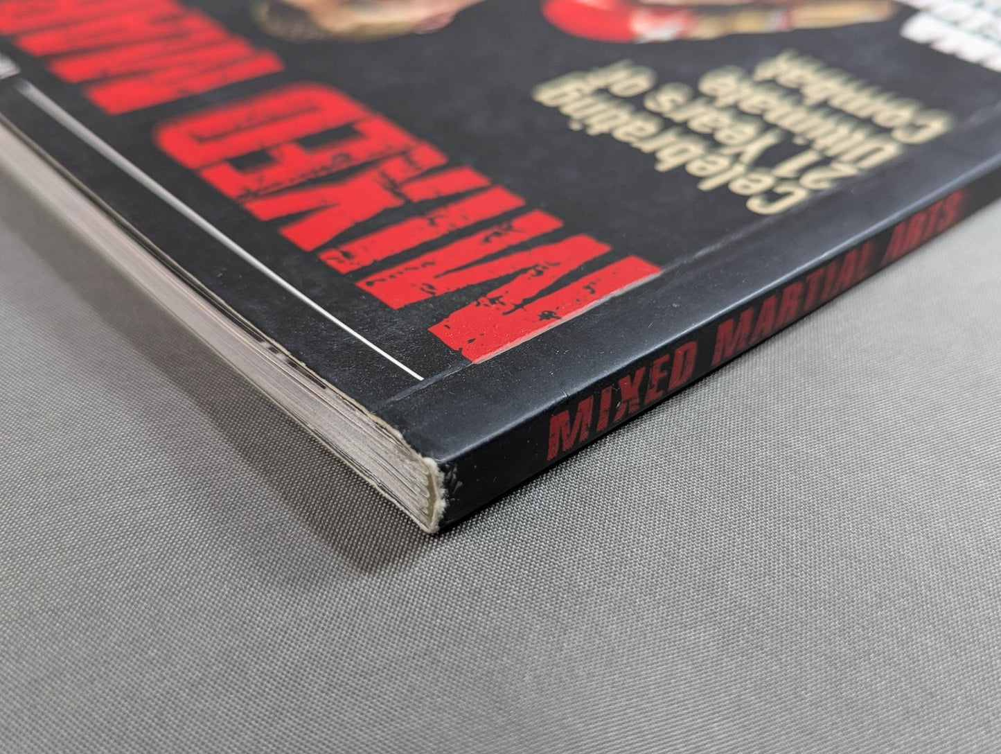 MIXED MARTIAL ARTS ： WP ACTION SERIES