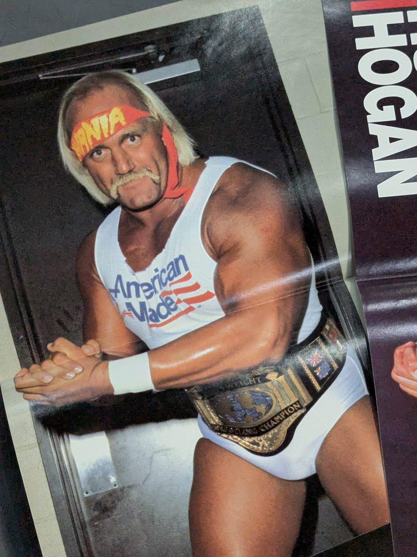 ★ Superman ★ Hulk Hogan Magazine Appendix Pin-Up Set