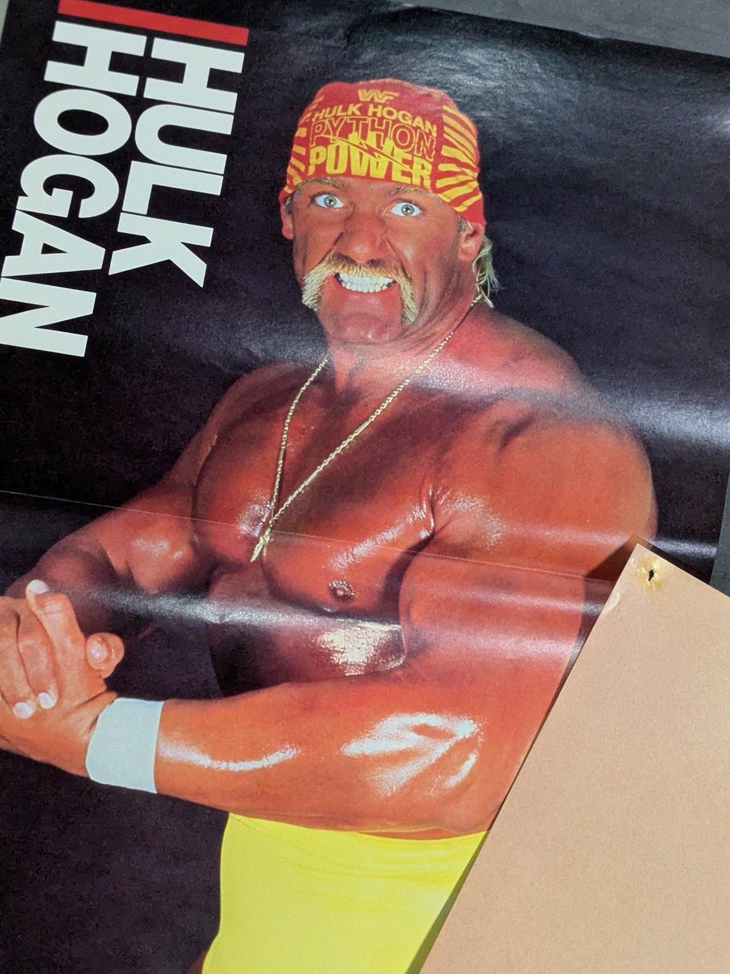 ★ Superman ★ Hulk Hogan Magazine Appendix Pin-Up Set