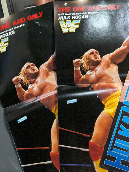 ★ Superman ★ Hulk Hogan Magazine Appendix Pin-Up Set