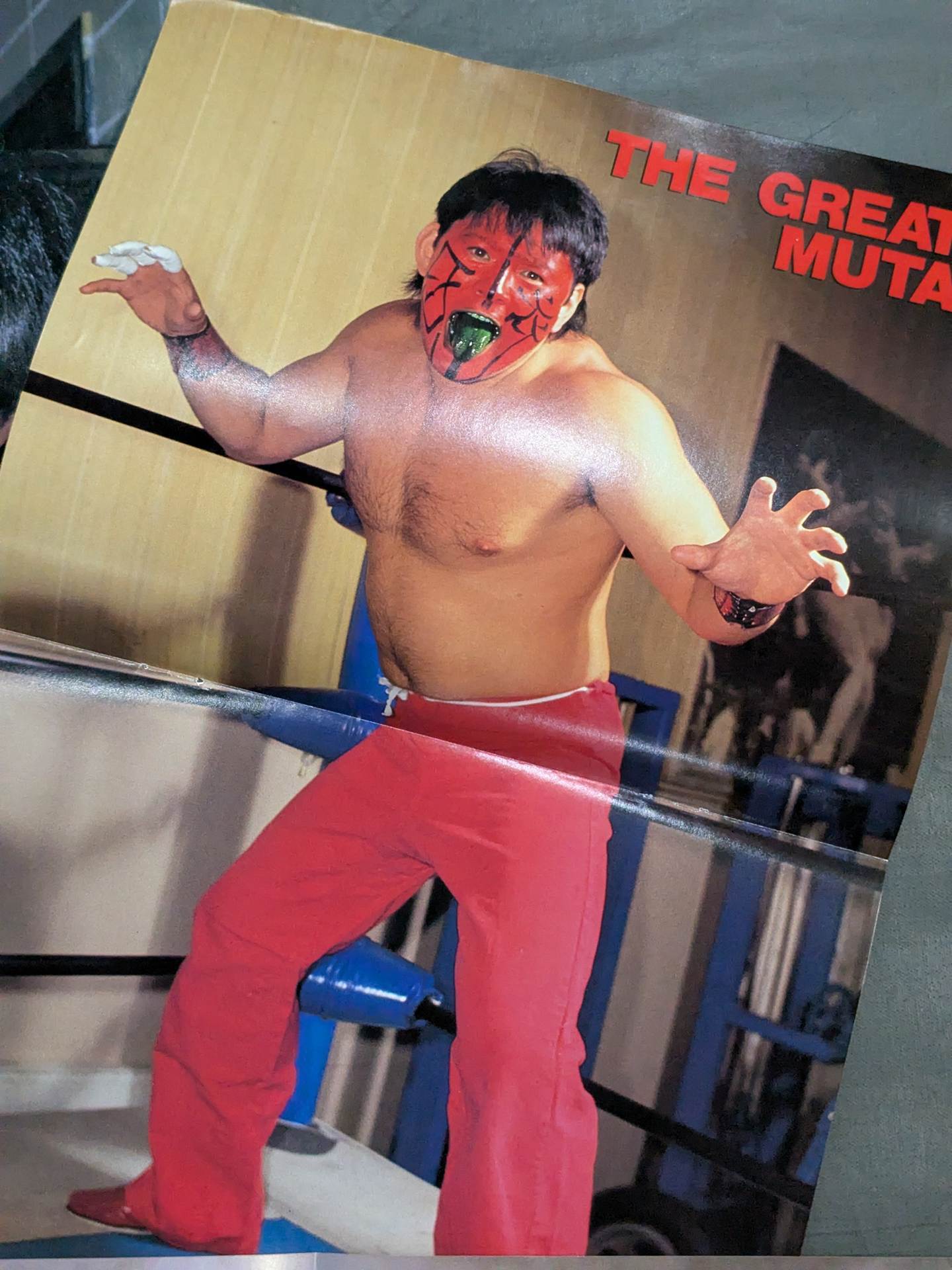 ★ The Mystery ★ of the Orient Great Muta Magazine Appendix Pin-Up Set