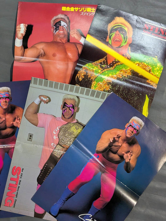 ★超銀盤戦士★ スティング 雑誌付録ピンナップセット