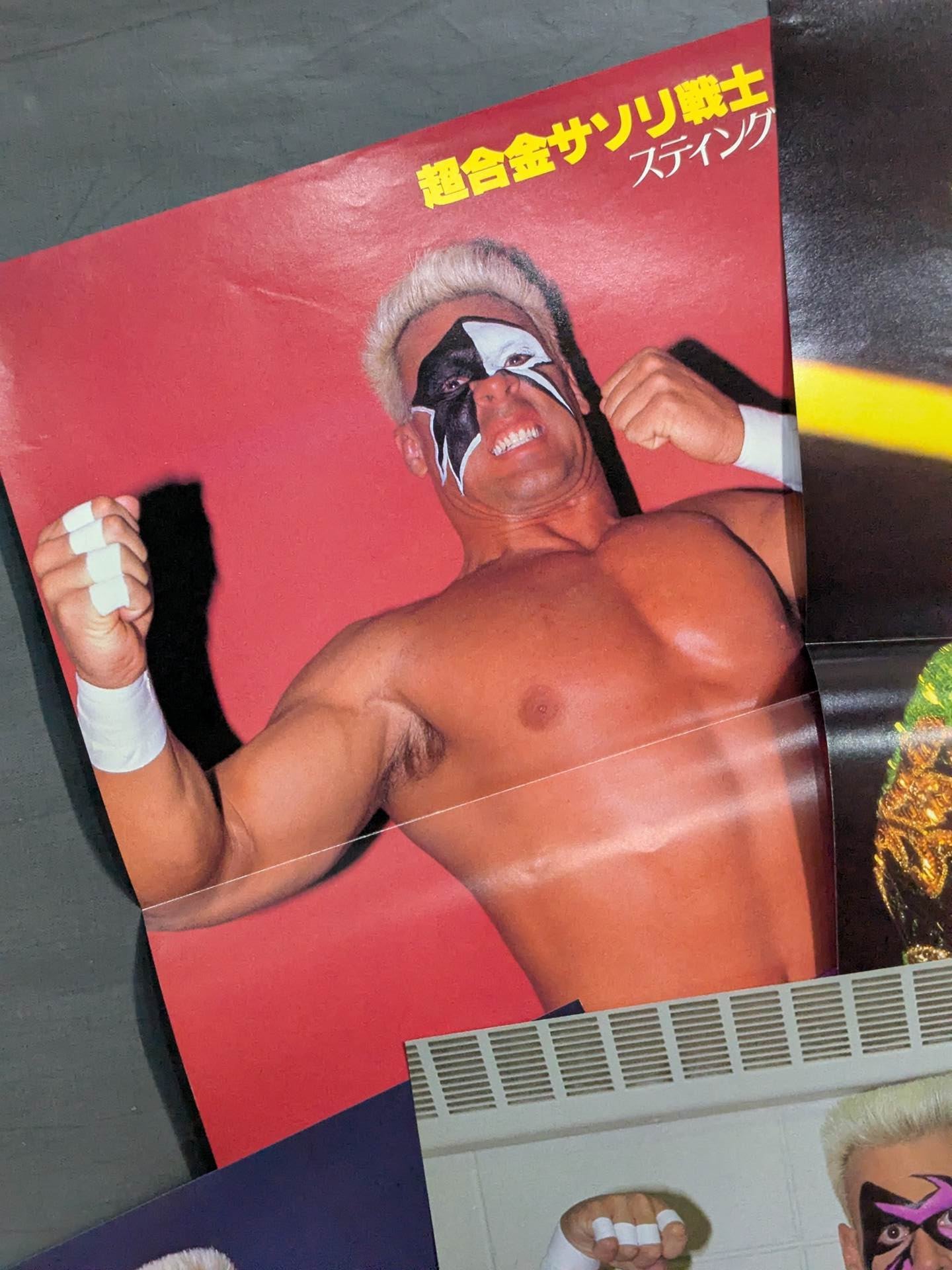 ★ Super Silver Plate Warrior ★ Sting Magazine Appendix Pin-Up Set