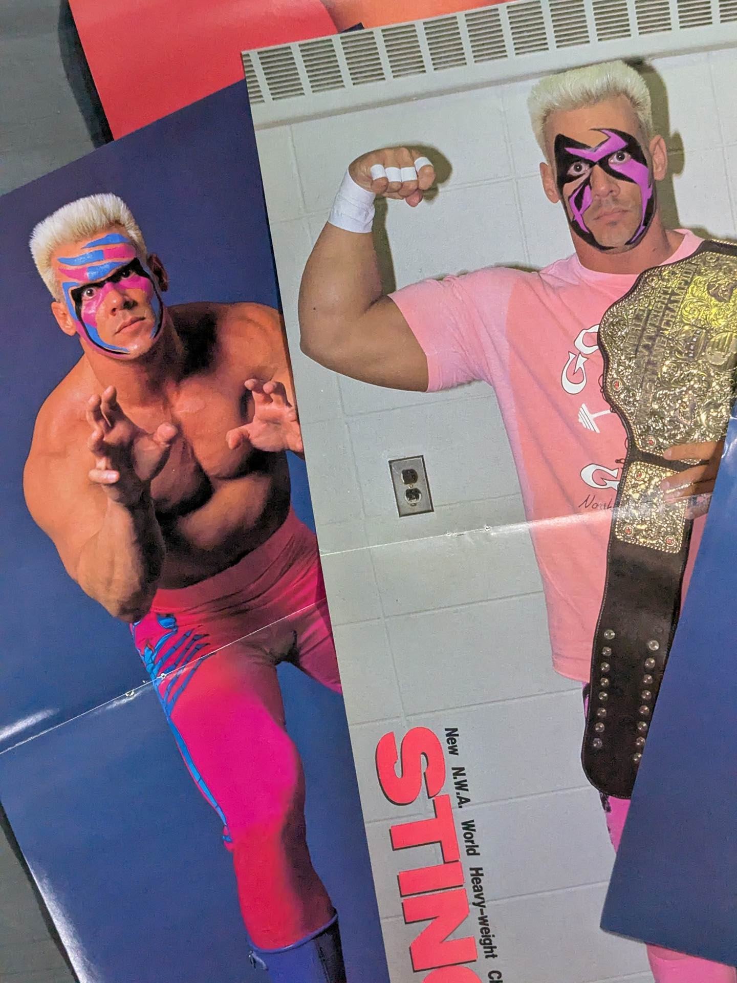 ★ Super Silver Plate Warrior ★ Sting Magazine Appendix Pin-Up Set