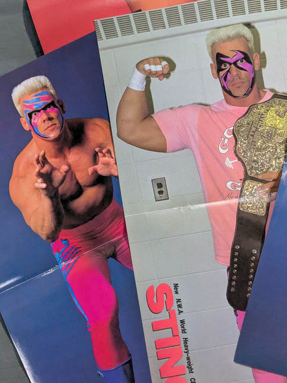 ★ Super Silver Plate Warrior ★ Sting Magazine Appendix Pin-Up Set