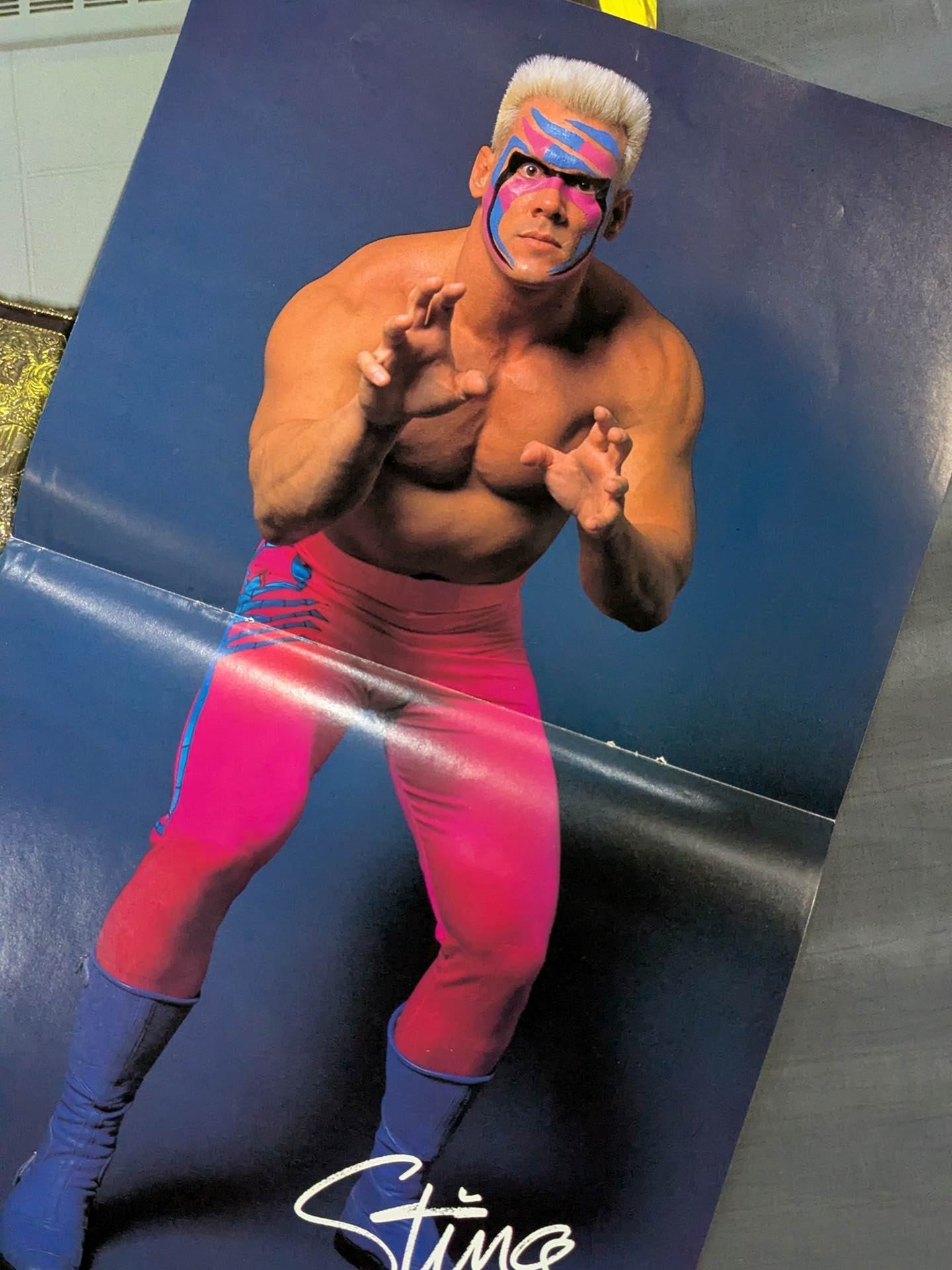 ★ Super Silver Plate Warrior ★ Sting Magazine Appendix Pin-Up Set