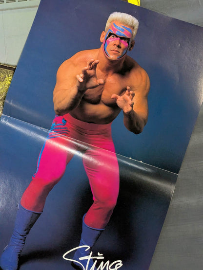 ★ Super Silver Plate Warrior ★ Sting Magazine Appendix Pin-Up Set