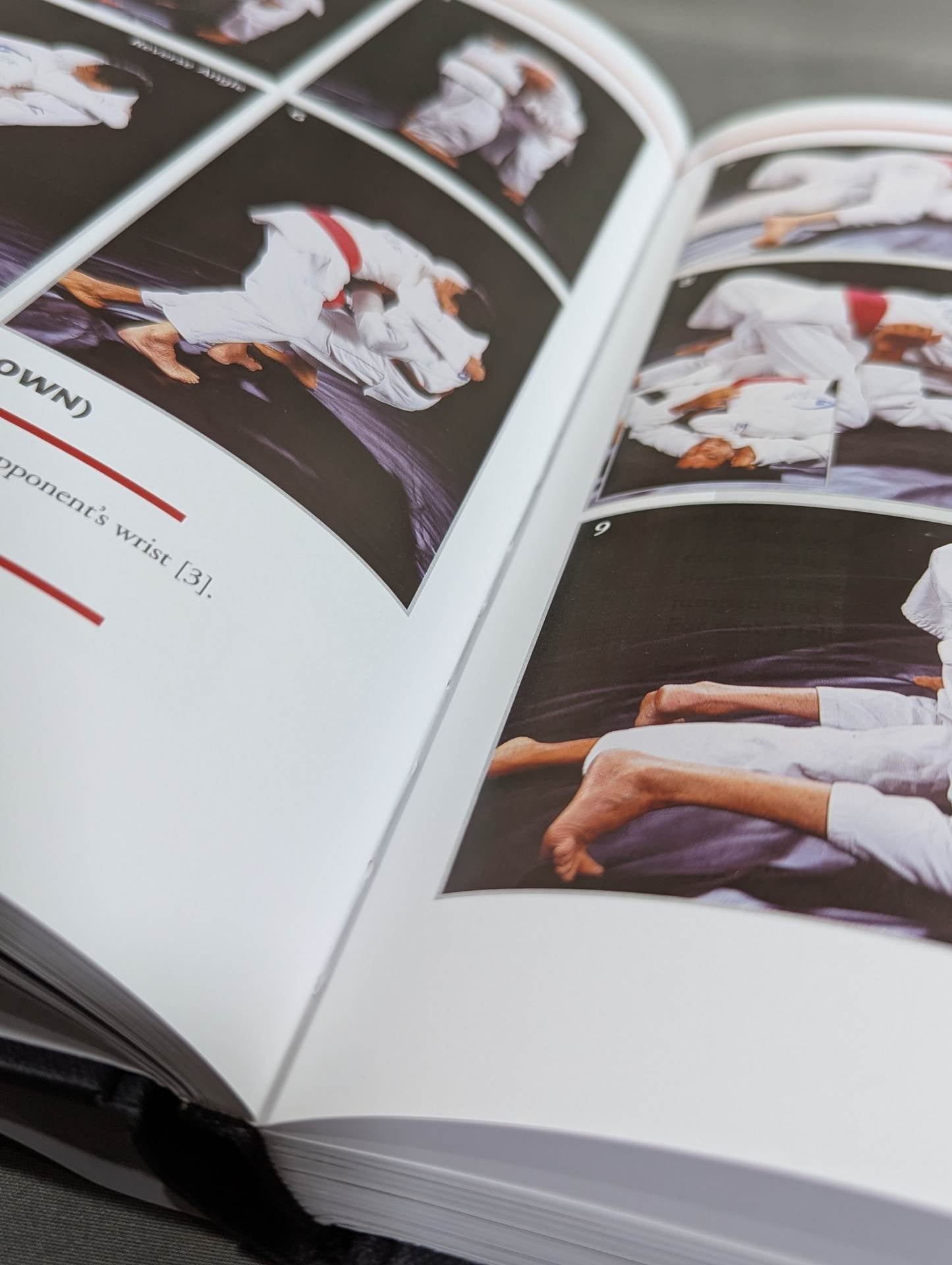 GRACIE JIU-JITSU: The Master Text – 闘道館