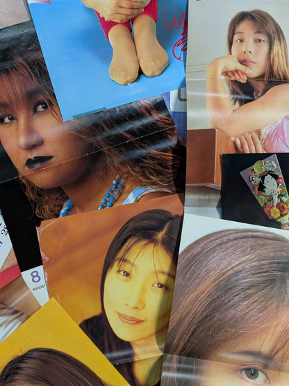 女子プロレスラー 雑誌付録ピンナップセット