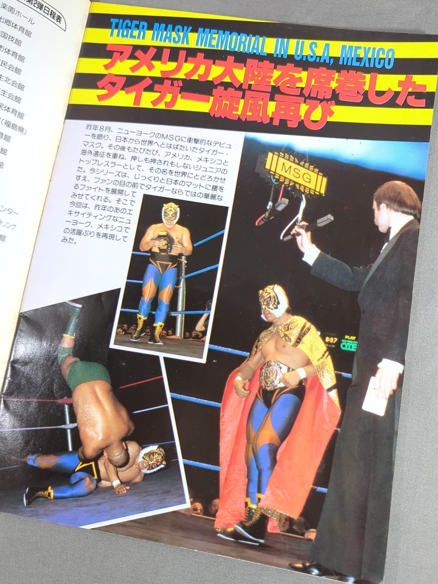 THE WRESTLER Big Fight Series Vol.2 Vol.16