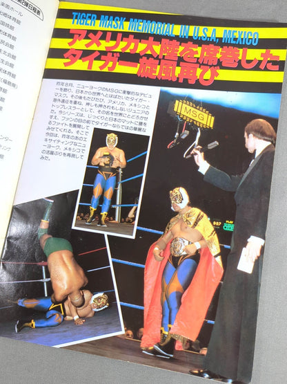 THE WRESTLER Big Fight Series Vol.2 Vol.16