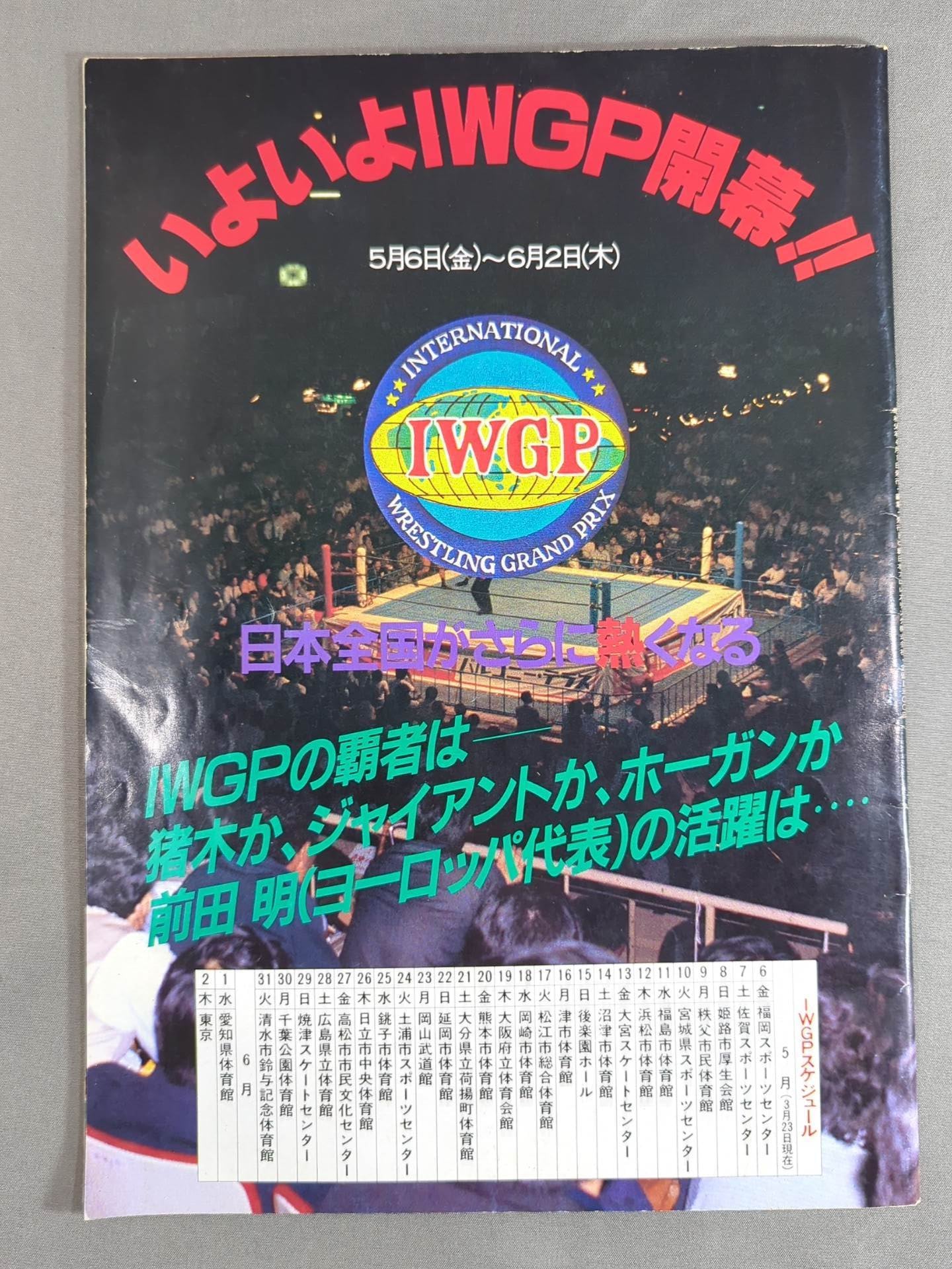THE WRESTLER Big Fight Series Vol.2 Vol.16