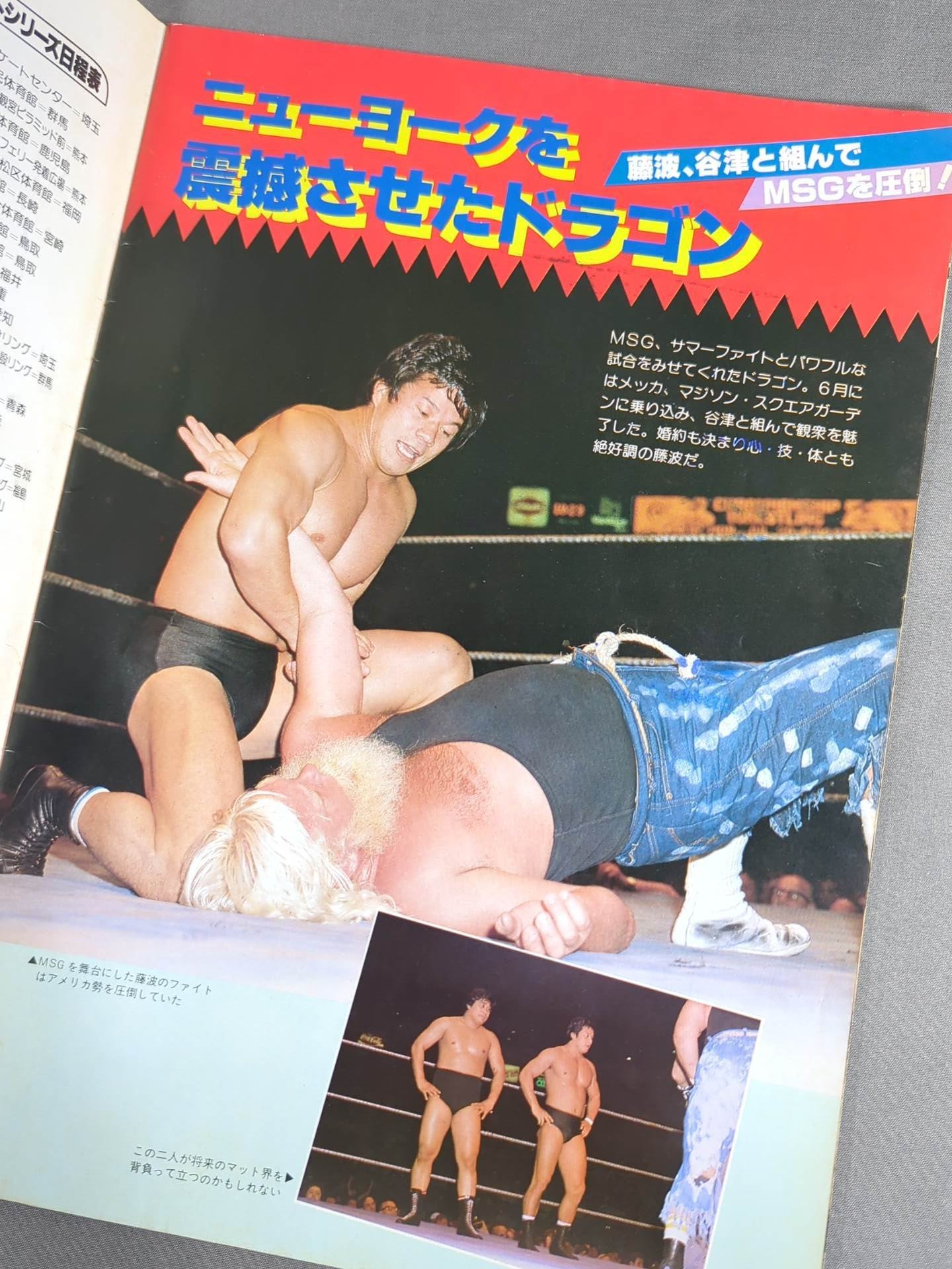 ★ Andre vs. Hansen ★THE WRESTLER Bloodfight Series Vol.3