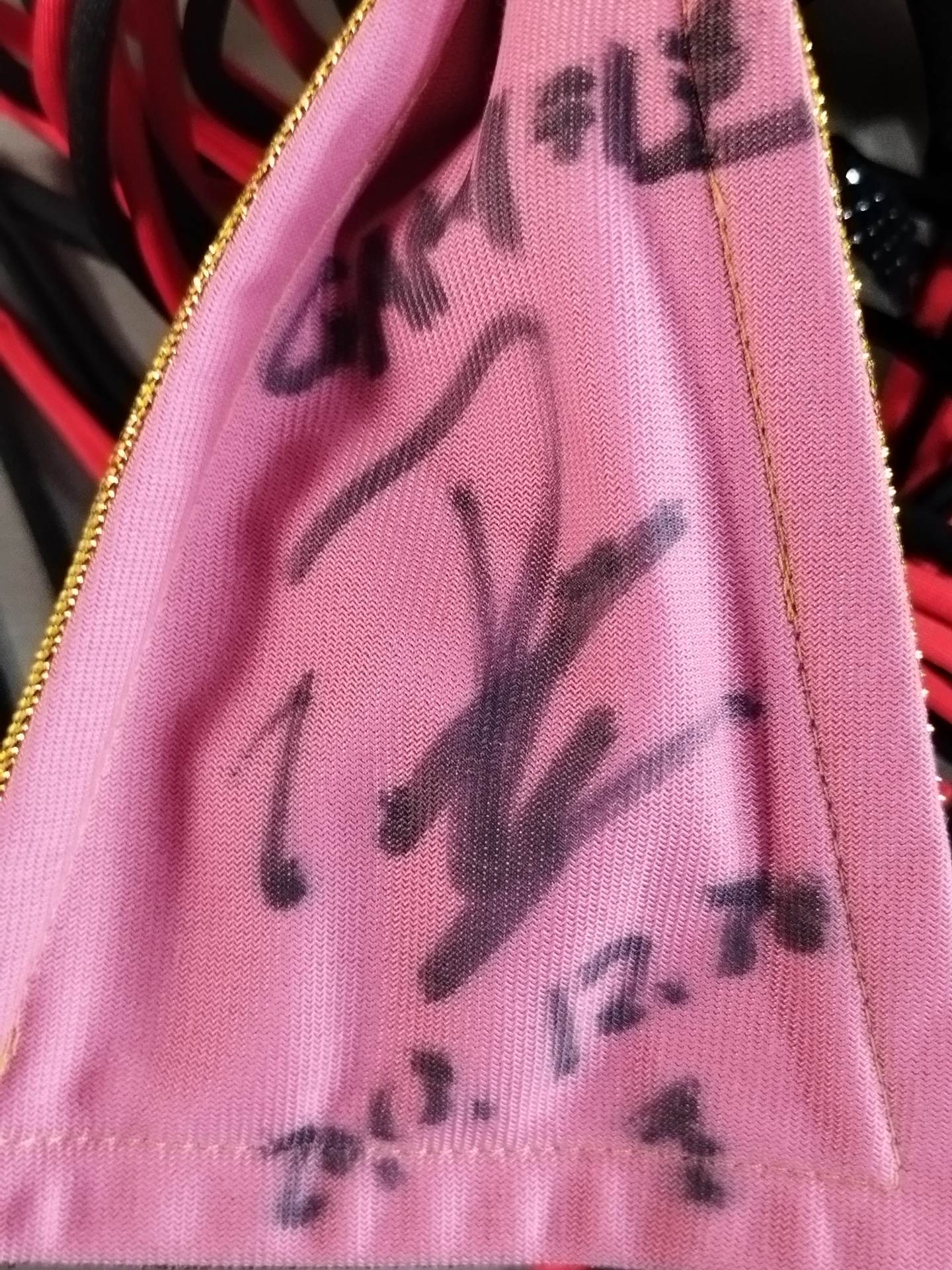 ジ・ウィンガー