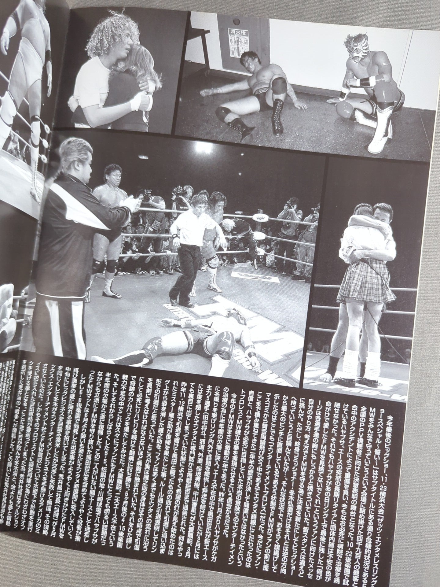 FMW / OFFICIAL GUIDE BOOK 2001～2002