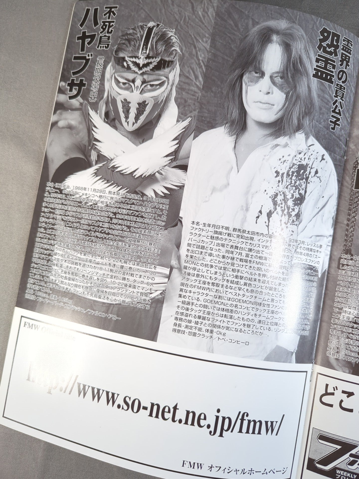FMW / OFFICIAL GUIDE BOOK 2001～2002