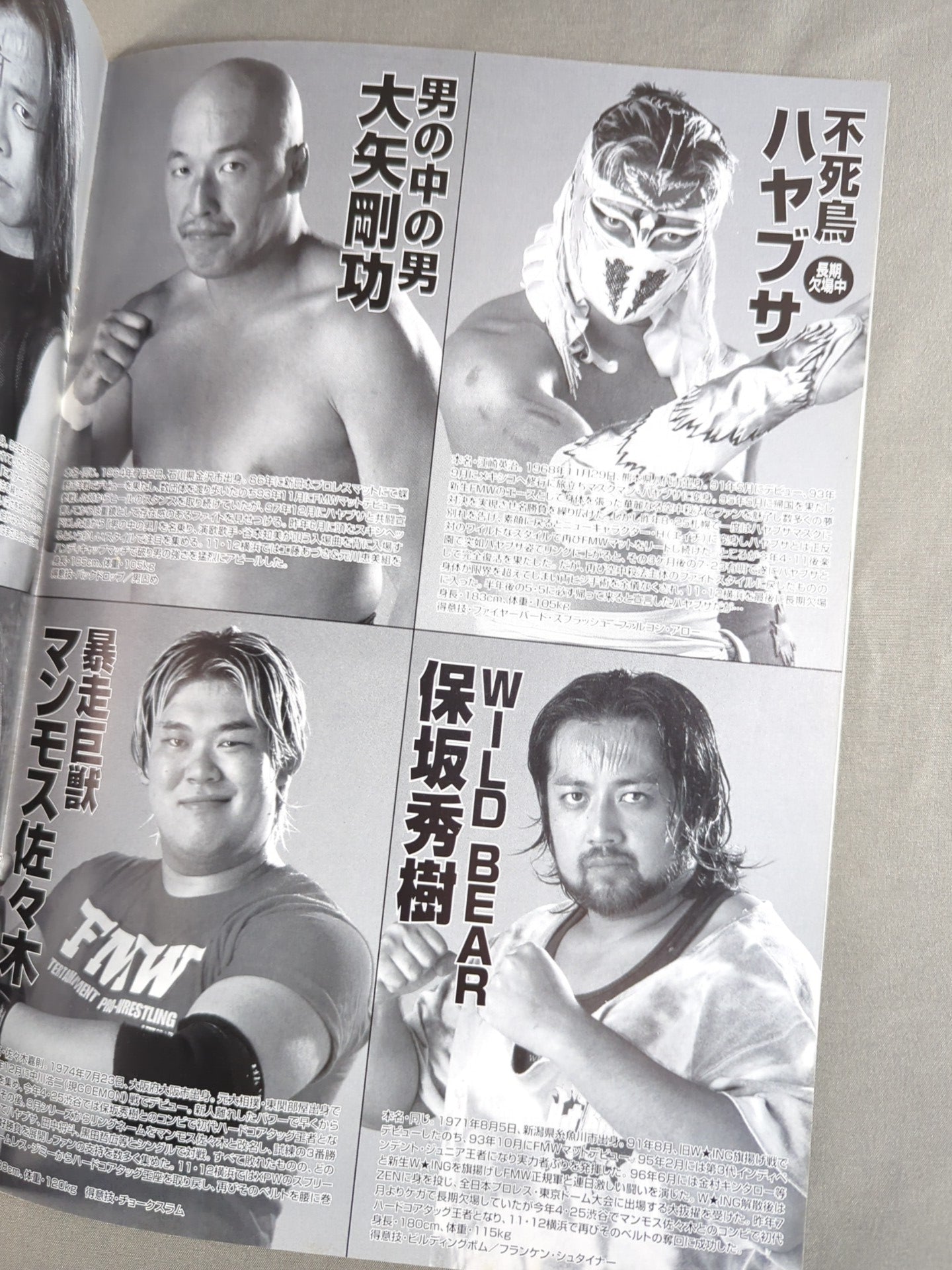 FMW / OFFICIAL GUIDE BOOK 2000～2001