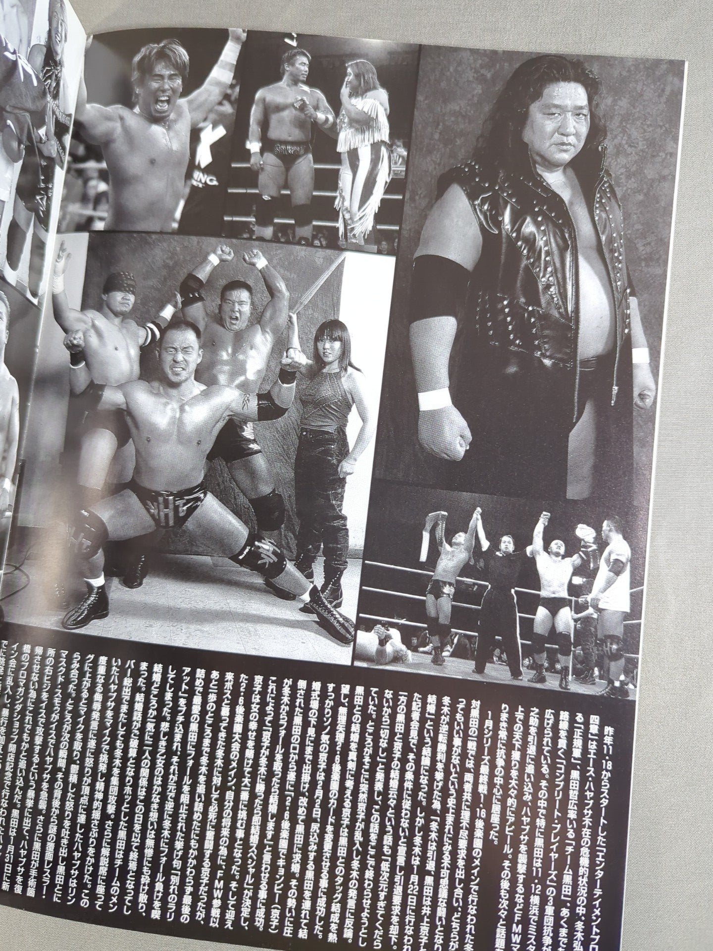 FMW / OFFICIAL GUIDE BOOK 2001 Vol.1