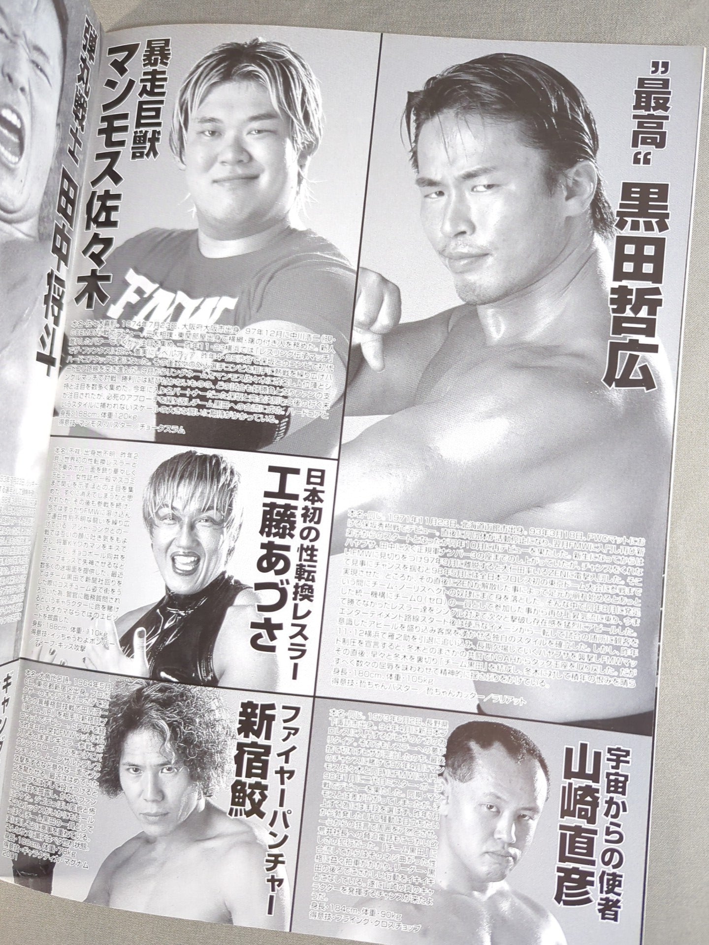 FMW / OFFICIAL GUIDE BOOK 2001 Vol.1