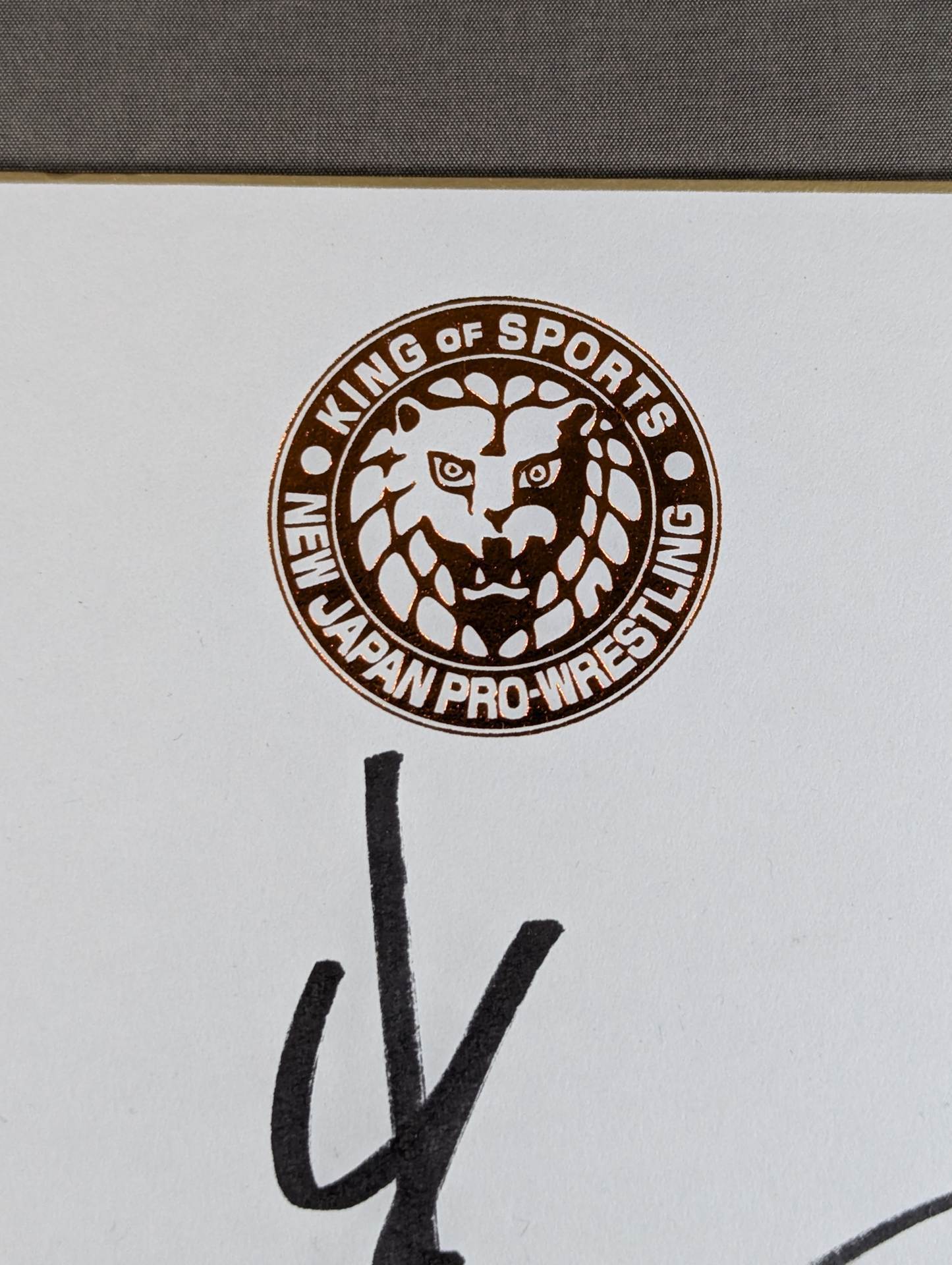 Kosei Fujita  (Lion Mark Shikishi ( Autograph board ) )