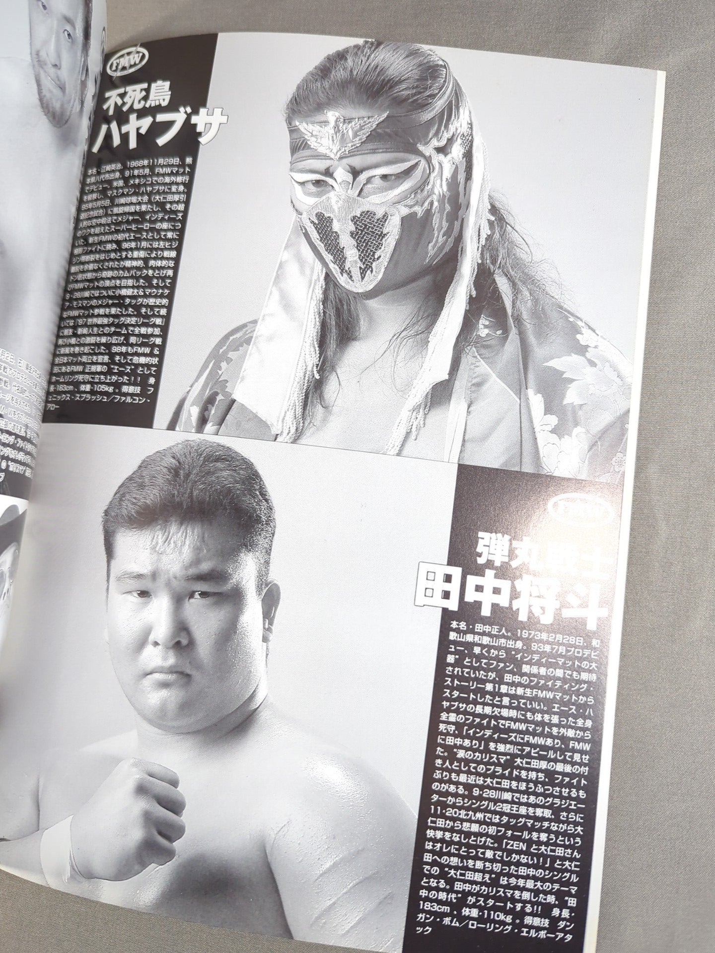 FMW / OFFICIAL GUIDE BOOK 1998 Vol.1
