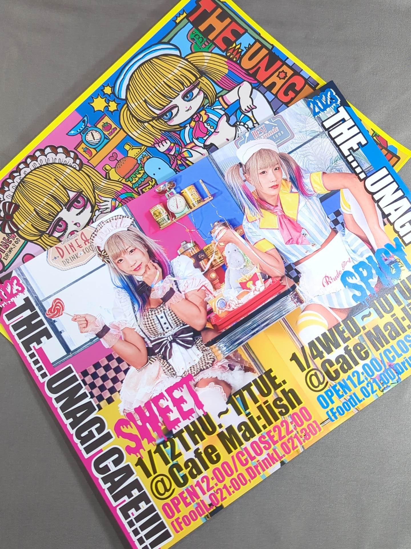 ウナギ・サヤカ「ウナギカフェ」フライヤーセット