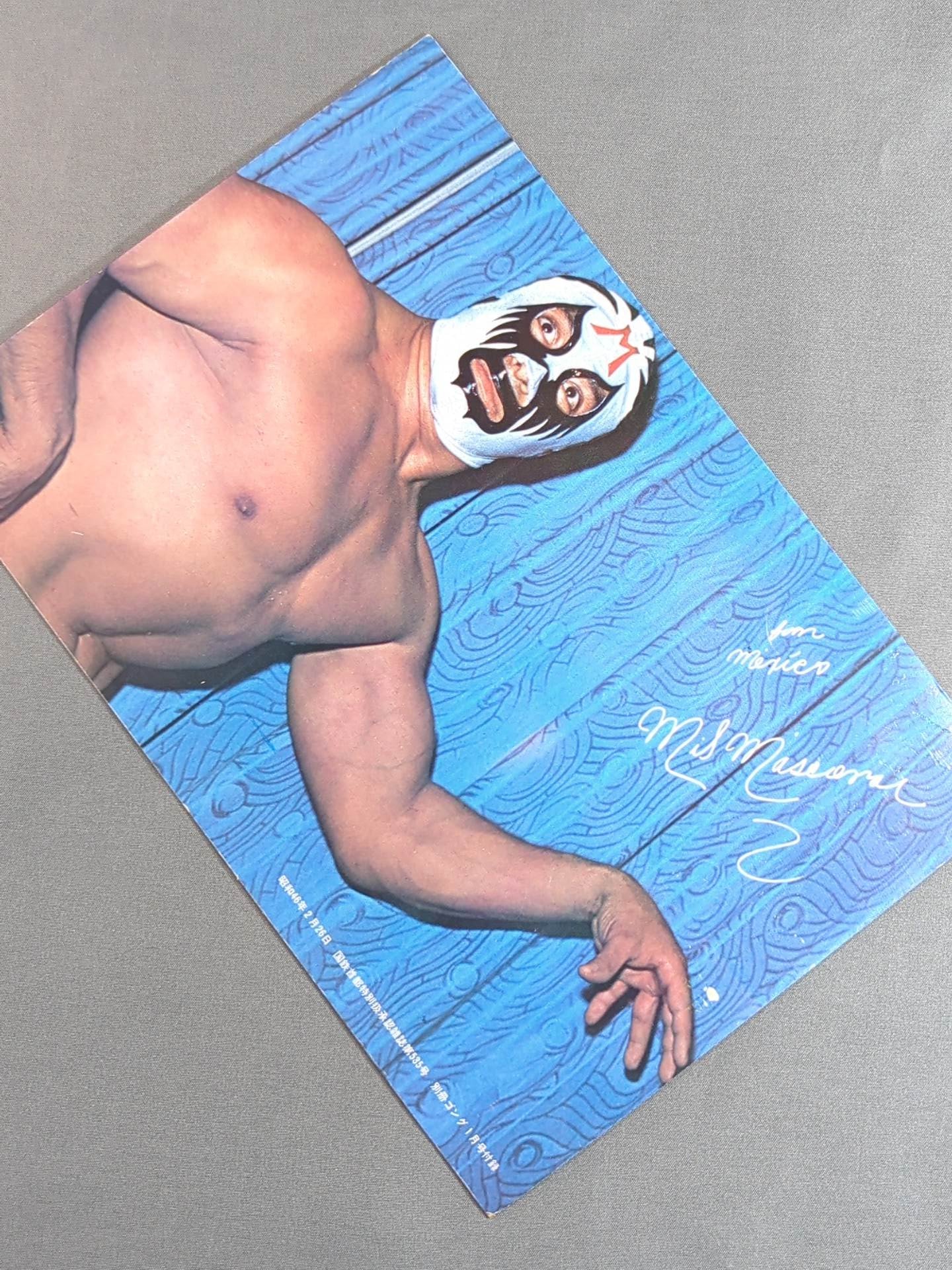 Mil Mascaras  wall mounted photo