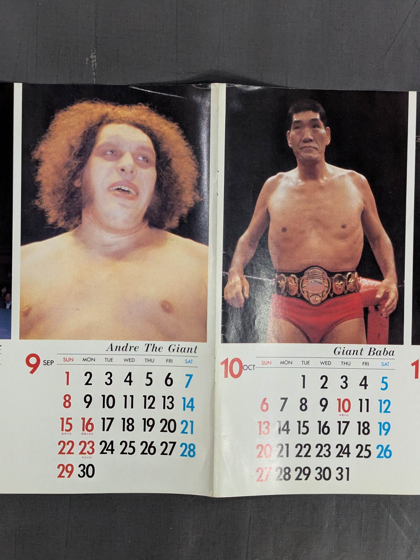 1985年 超ワイド・レスリング・カレンダー