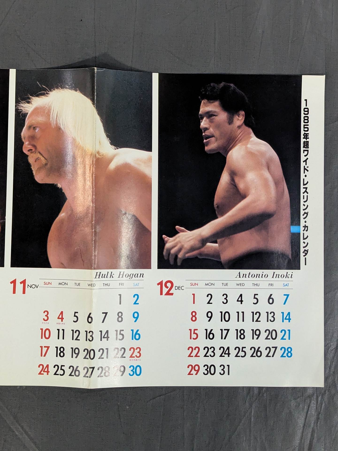1985年 超ワイド・レスリング・カレンダー – 闘道館