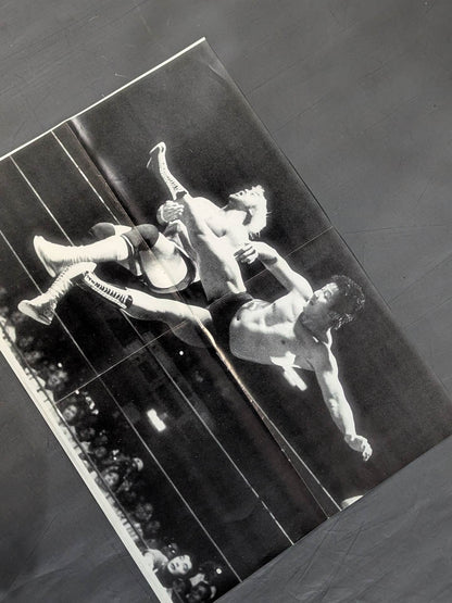 UWF戦士 雑誌付録ポスター