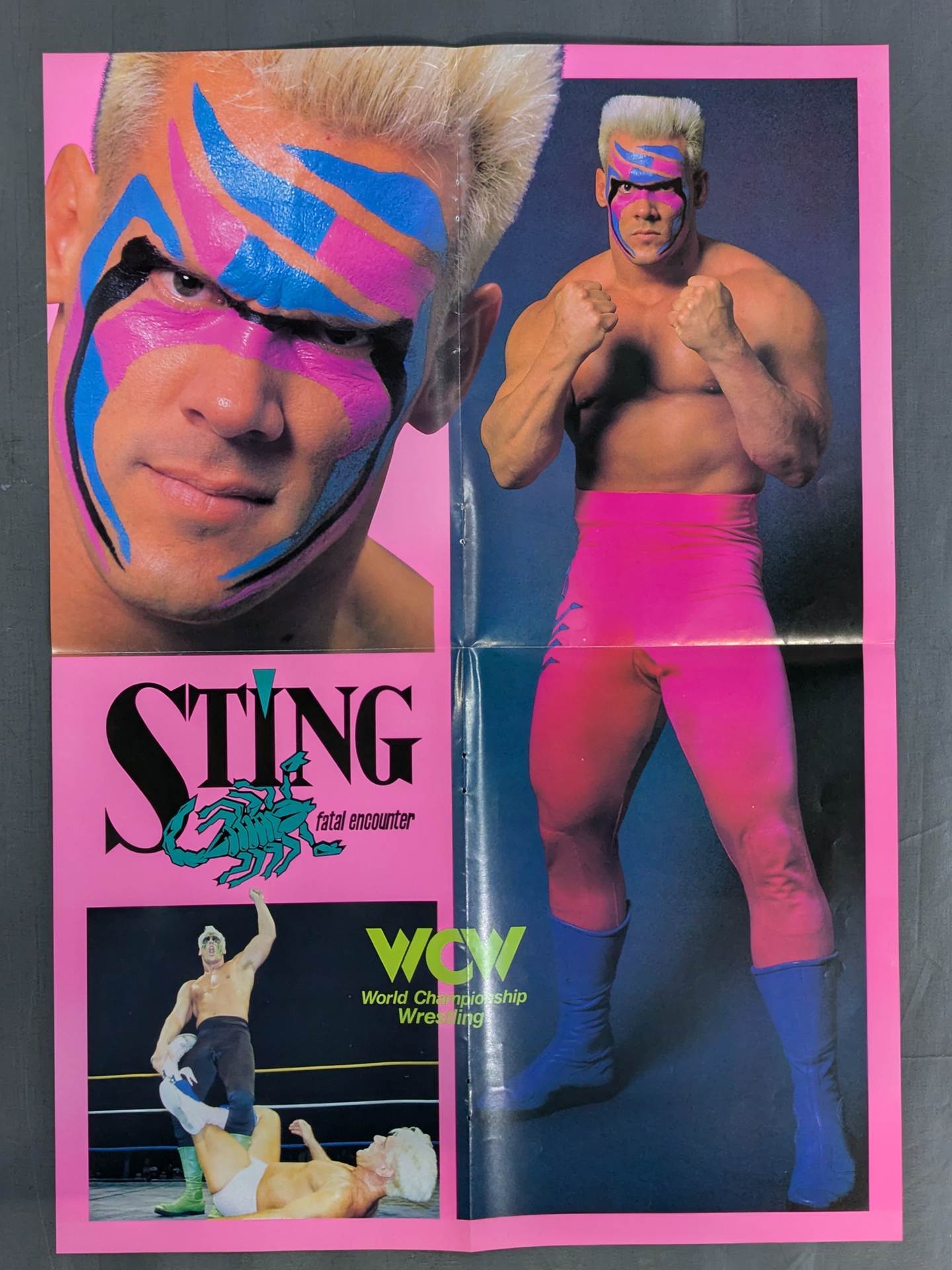 Sting  Magazine Appendix Poster