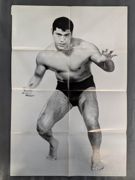 アントニオ猪木 雑誌付録ポスター