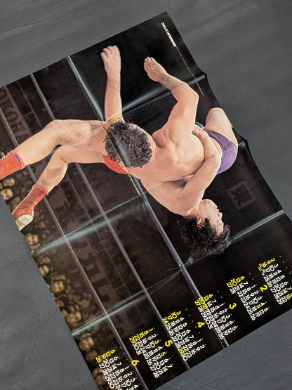 1977 月刊プロレス 雑誌付録ポスターカレンダー