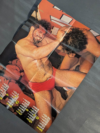 1977 月刊プロレス 雑誌付録ポスターカレンダー