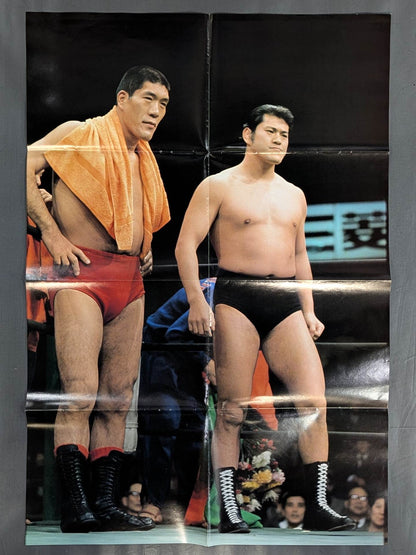 Antonio Inoki . Giant Baba  & Rikidozan  vs Destroyer Appendix Poster