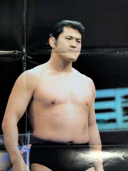 Antonio Inoki . Giant Baba  & Rikidozan  vs Destroyer Appendix Poster