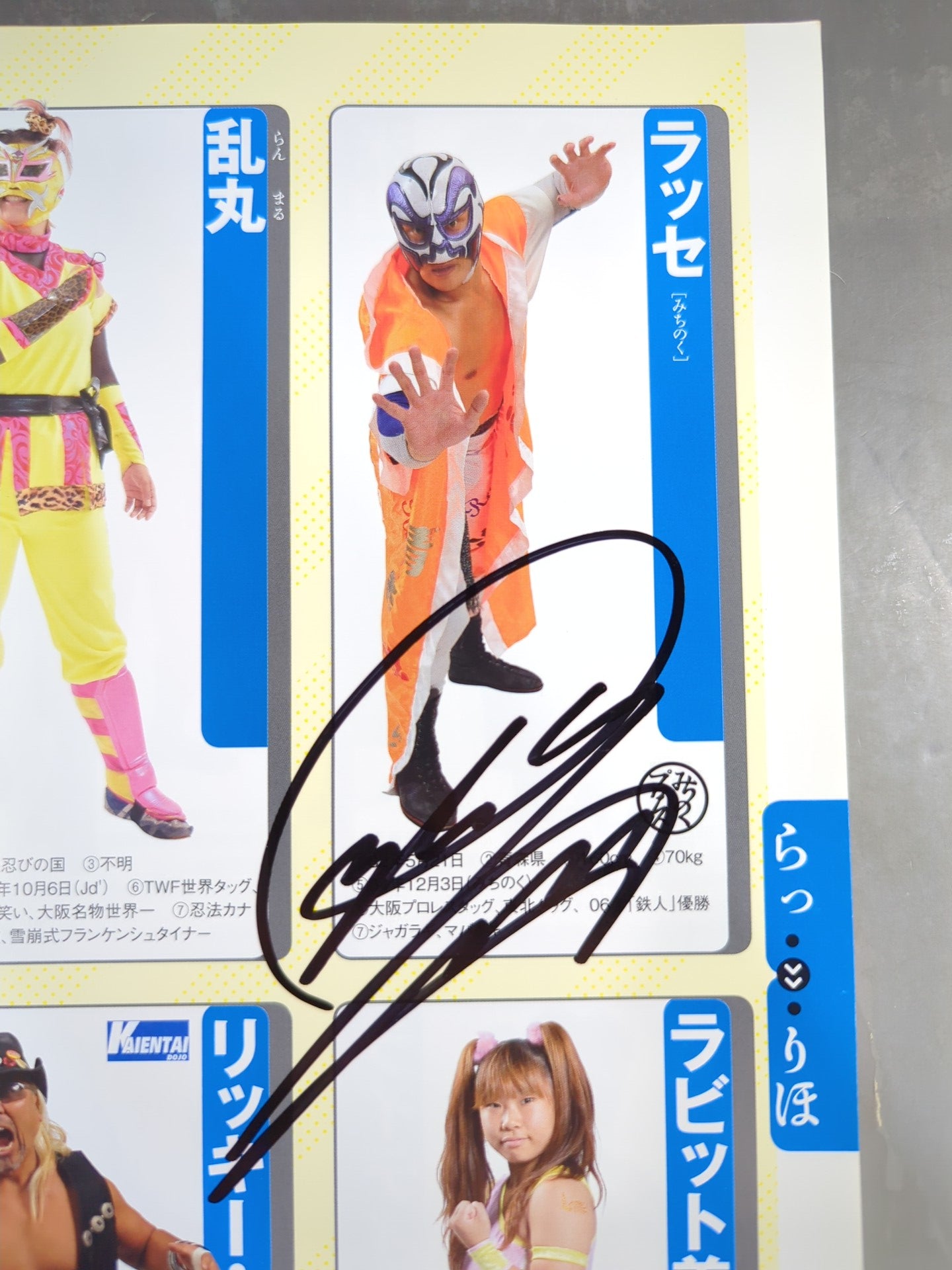 [6 fighters hand signed autograph 】Weekly Pro Wrestling Annex 100 "2013 Preservation Edition" pro wrestler  full body photo directory"