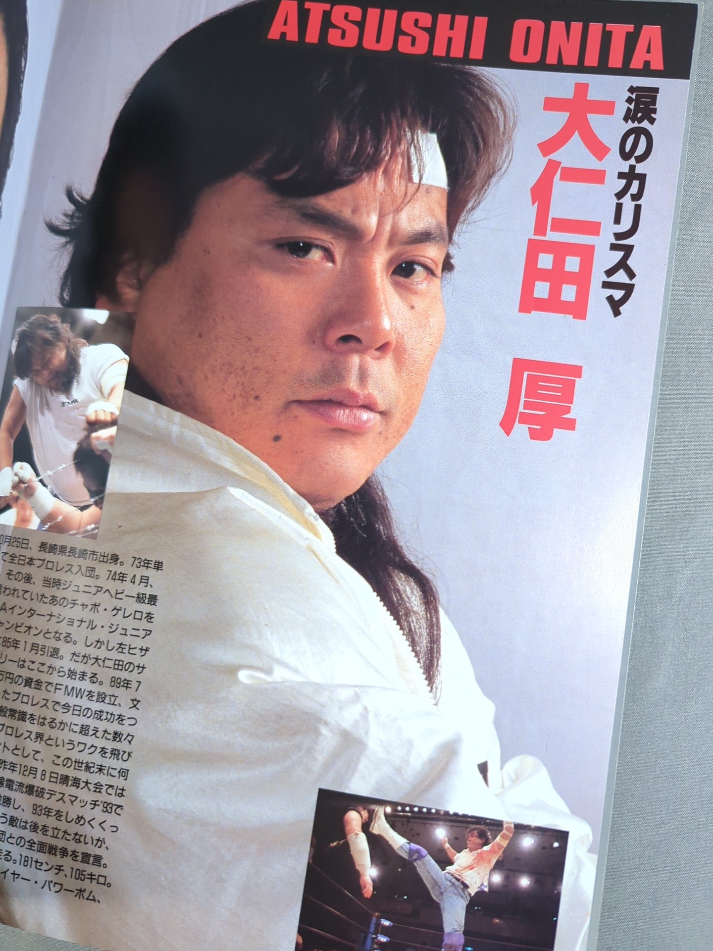 FMW / OFFICIAL GUIDE BOOK 1994 Vol.5