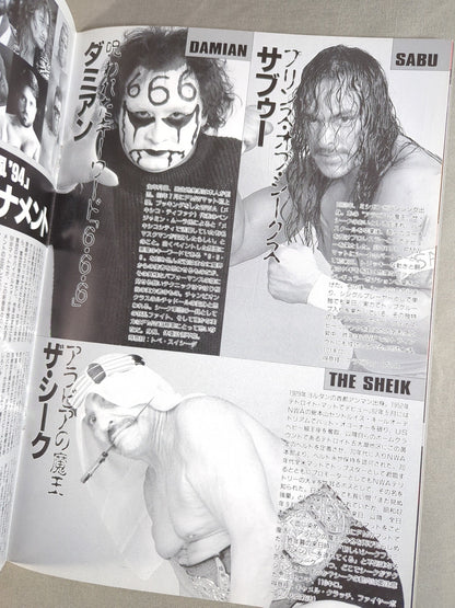 FMW / OFFICIAL GUIDE BOOK 1994 Vol.5